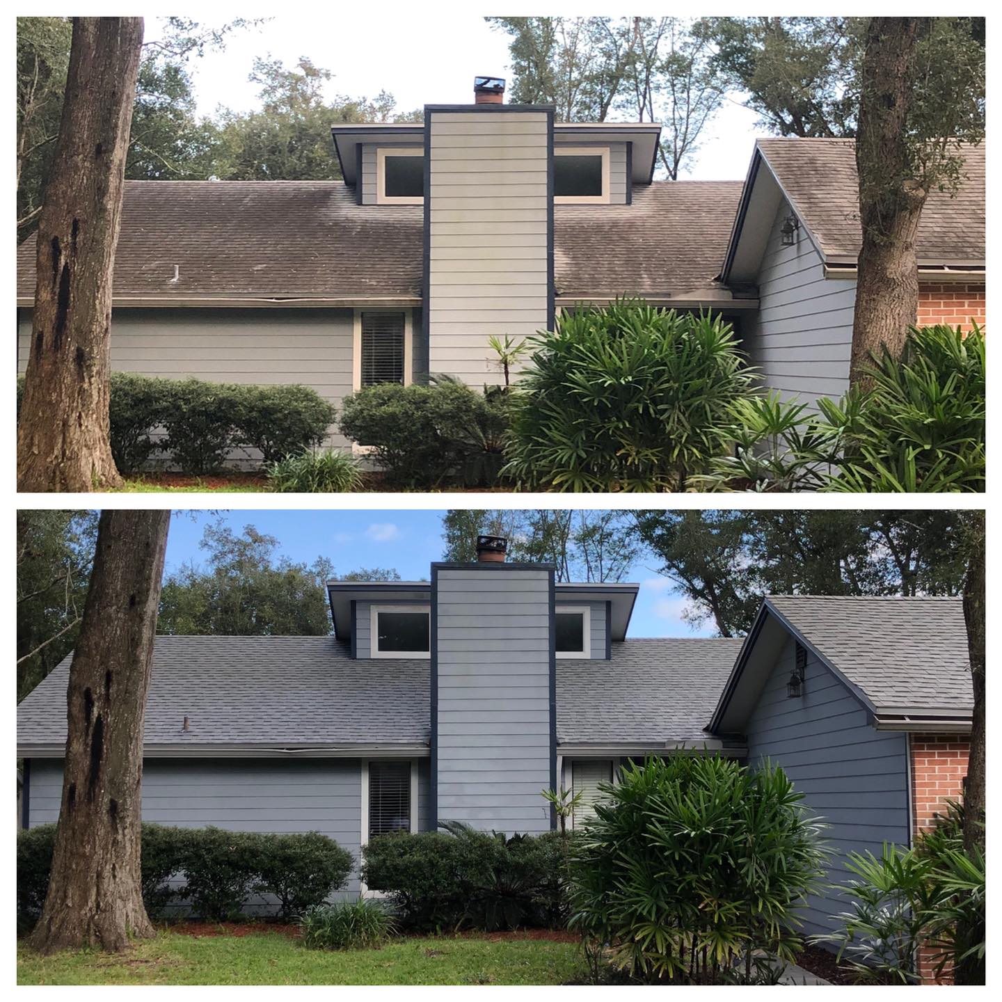 roof cleaning Palatka